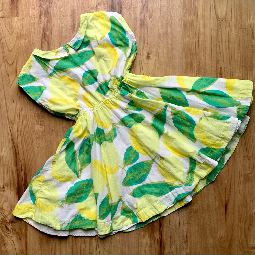 Tea Collection Guava-Go-Go Skirted
Collared Dress